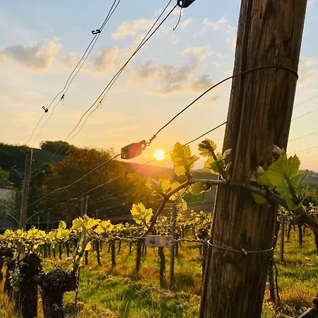 Appartamento Ferienapartment Huber *