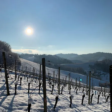 Ferienapartment Huber Oberkirch (Baden)