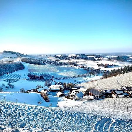 Ferienapartment Huber * Oberkirch (Baden)